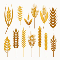 wheat ears vector