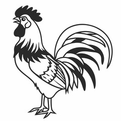 rooster isolated on white background