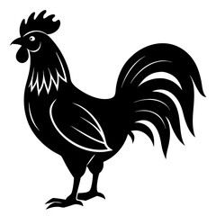rooster vector illustration