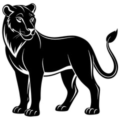 vector illustration of a tiger