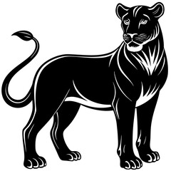 black and white tiger