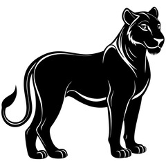 vector image of a tiger