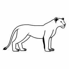 polar bear vector illustration