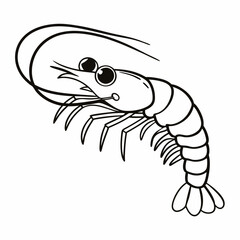 vector illustration of shrimp
