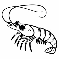 vector illustration of shrimp