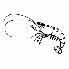 vector illustration of shrimp