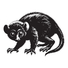 Mystery of Madagascar: A Fascinating Collection of Aye-Aye Vector Silhouettes Showcasing the Unique Form, Elusive Nature, and Nocturnal Charm of This Enigmatic Primate Species