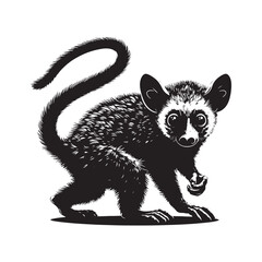 Mystery of Madagascar: A Fascinating Collection of Aye-Aye Vector Silhouettes Showcasing the Unique Form, Elusive Nature, and Nocturnal Charm of This Enigmatic Primate Species