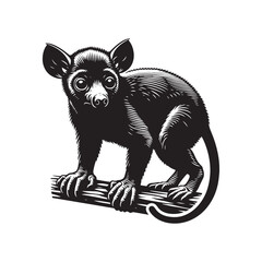 Mystery of Madagascar: A Fascinating Collection of Aye-Aye Vector Silhouettes Showcasing the Unique Form, Elusive Nature, and Nocturnal Charm of This Enigmatic Primate Species