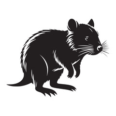 Scurry of the Outback: A Unique Collection of Bandicoot Vector Silhouettes Celebrating the Quirky Charm, Swift Movements, and Distinctive Shape of This Elusive Marsupial Species