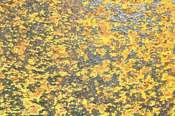 Rusty metal surface. Corrosion pattern texture. Weathered iron sheet closeup. Industrial grunge background. Yellow orange rust. Oxidized structure detail. Old material damaged.