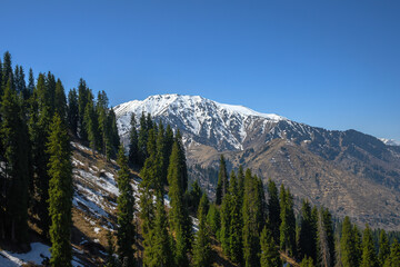 yosemite national park california