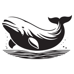 Voices of the Deep: A Graceful Collection of Beluga Whale Vector Silhouettes Celebrating the Elegance, Intelligence, and Arctic Beauty of This Iconic White Marine Mammal