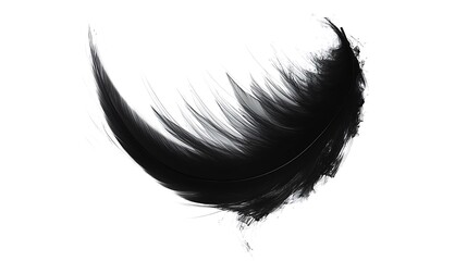 Fototapeta premium Abstract black feather form on a white background.