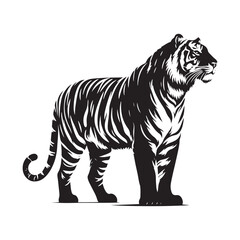 Stripes of Power: A Striking Collection of Bengal Tiger Vector Silhouettes Showcasing the Majesty, Strength, and Endangered Beauty of This Iconic Big Cat of India