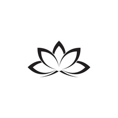 beautiful flower lotus logo and vector template