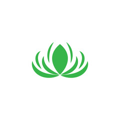 beautiful flower lotus logo and vector template