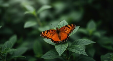 Obraz premium Electric scooter charging station on city street with modern architecture background.