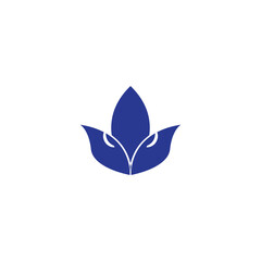 Fototapeta premium beautiful flower lotus logo and vector template