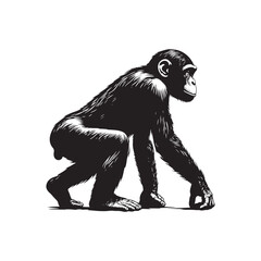 Fototapeta premium Peaceful Shadows: A Thoughtful Collection of Bonobo Vector Silhouettes Highlighting the Gentle Nature, Social Intelligence, and Distinctive Form of Humanity’s Closest Primate Relative in the Wild