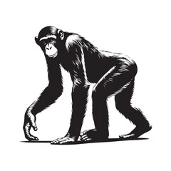 Peaceful Shadows: A Thoughtful Collection of Bonobo Vector Silhouettes Highlighting the Gentle Nature, Social Intelligence, and Distinctive Form of Humanity’s Closest Primate Relative in the Wild