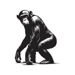 Peaceful Shadows: A Thoughtful Collection of Bonobo Vector Silhouettes Highlighting the Gentle Nature, Social Intelligence, and Distinctive Form of Humanity’s Closest Primate Relative in the Wild