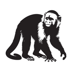 Jungle Acrobats: A Playful Collection of Capuchin Monkey Vector Silhouettes Showcasing the Agility, Curiosity, and Expressive Nature of These Intelligent and Energetic New World Primates