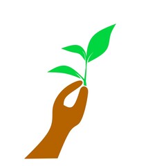 hand holding green plant