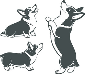 Happy corgi vector art 