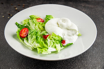 Burrata cheese salad buffalo milk cheese salad dish fresh delicious gourmet food background on the table rustic food top view copy space keto and paleo diet vegetarian