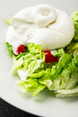 Burrata cheese salad buffalo milk cheese salad dish fresh delicious gourmet food background on the table rustic food top view copy space keto and paleo diet vegetarian