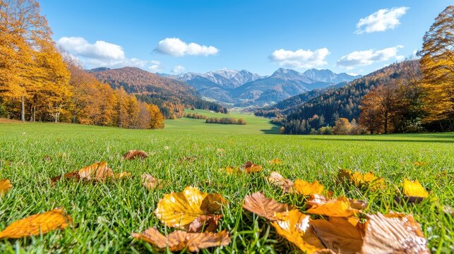 Autumn meadow landscape vibrant fall colors mountain view scenic nature background