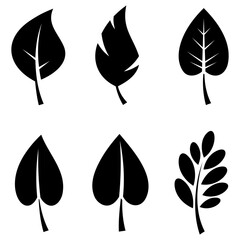 Fototapeta premium Leaf icon. Black leaf icons isolated on white backgroVector illustration.