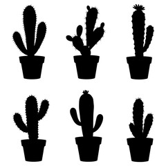 Cactus icon. Black cactus icons isolated on white background.