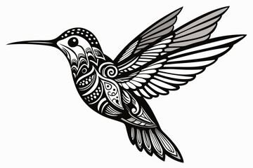 Obraz premium vector illustration of an hummingbird