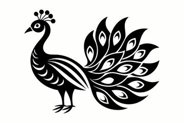 Obraz premium peacock feather vector illustration