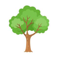 Tree: The Natural Giant and Oxygen Provider