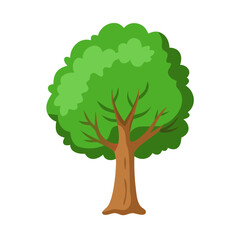 Tree: The Natural Giant and Oxygen Provider