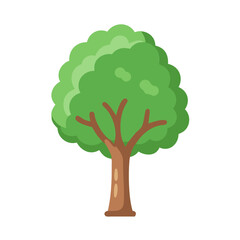 Tree: The Natural Giant and Oxygen Provider