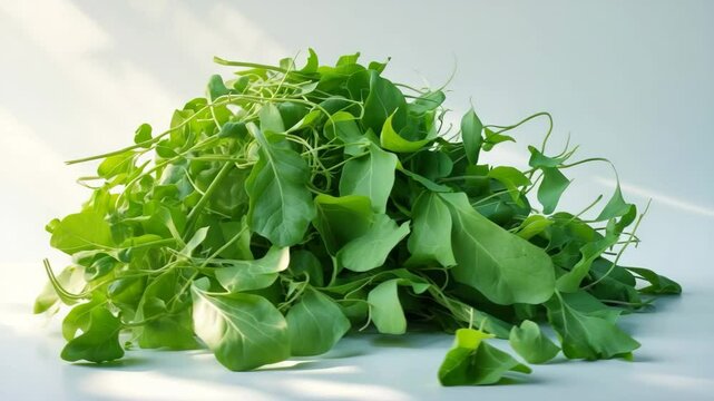 Fresh heap of green leaves on a white background