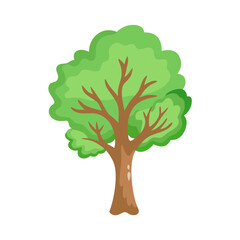 Tree: The Natural Giant and Oxygen Provider