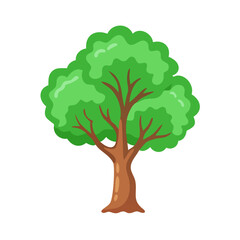 Tree: The Natural Giant and Oxygen Provider