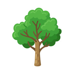 Tree: The Natural Giant and Oxygen Provider