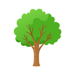 Tree: The Natural Giant and Oxygen Provider