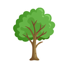 Tree: The Natural Giant and Oxygen Provider