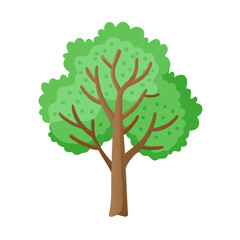 Tree: The Natural Giant and Oxygen Provider