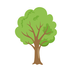 Tree: The Natural Giant and Oxygen Provider