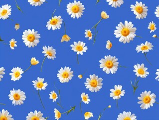 Daisy Delight: A vibrant pattern of white and yellow daisies gracefully scattered across a bold blue backdrop creates a cheerful springtime scene.