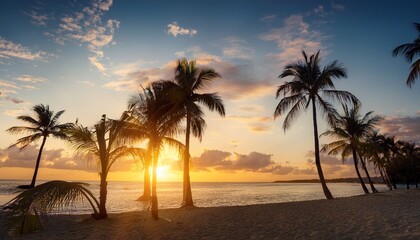 Obraz premium Palm trees at sunset