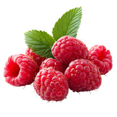 raspberry on white background